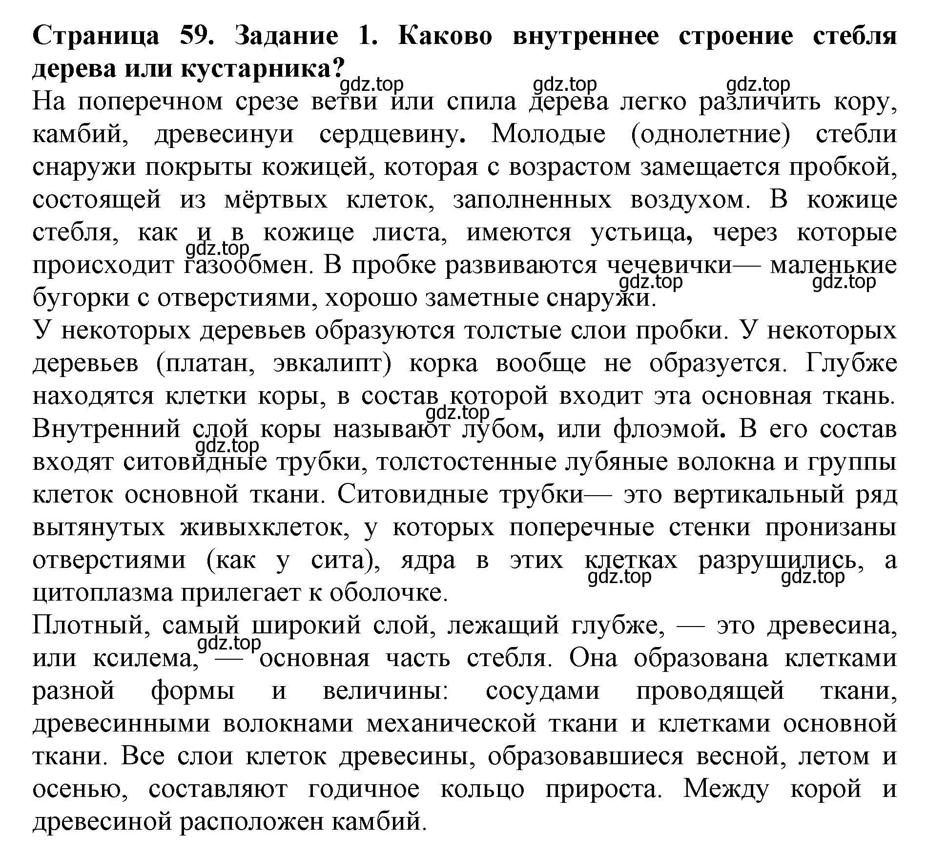 Решение номер 1 (страница 59) гдз по биологии 6 класс Пасечник, Суматохин, учебник