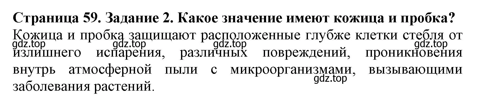 Решение номер 2 (страница 59) гдз по биологии 6 класс Пасечник, Суматохин, учебник