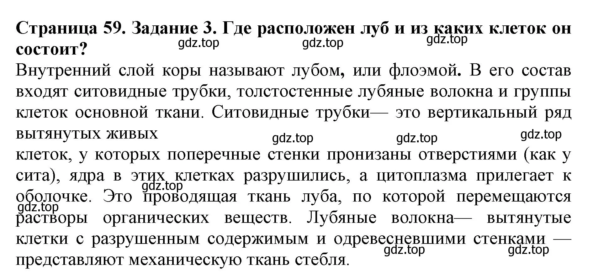 Решение номер 3 (страница 59) гдз по биологии 6 класс Пасечник, Суматохин, учебник