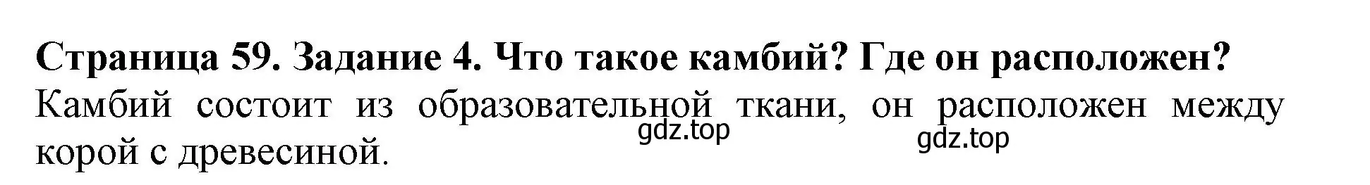 Решение номер 4 (страница 59) гдз по биологии 6 класс Пасечник, Суматохин, учебник