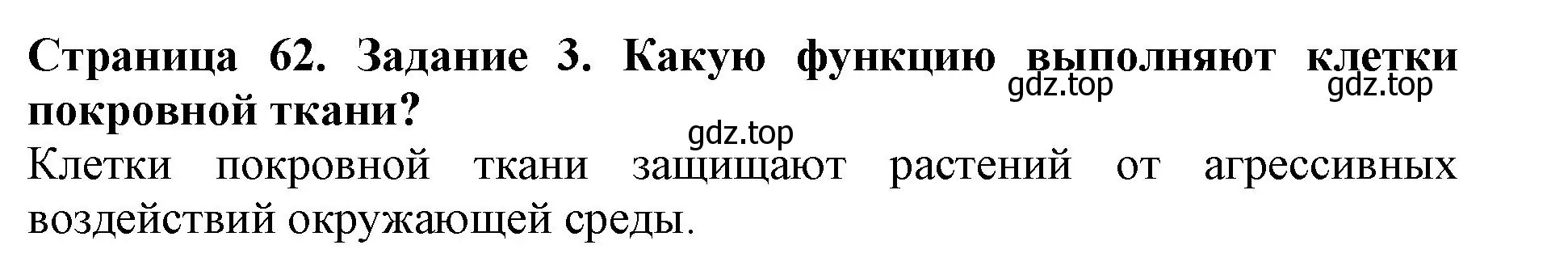 Решение номер 3 (страница 62) гдз по биологии 6 класс Пасечник, Суматохин, учебник