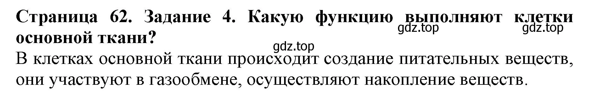 Решение номер 4 (страница 62) гдз по биологии 6 класс Пасечник, Суматохин, учебник