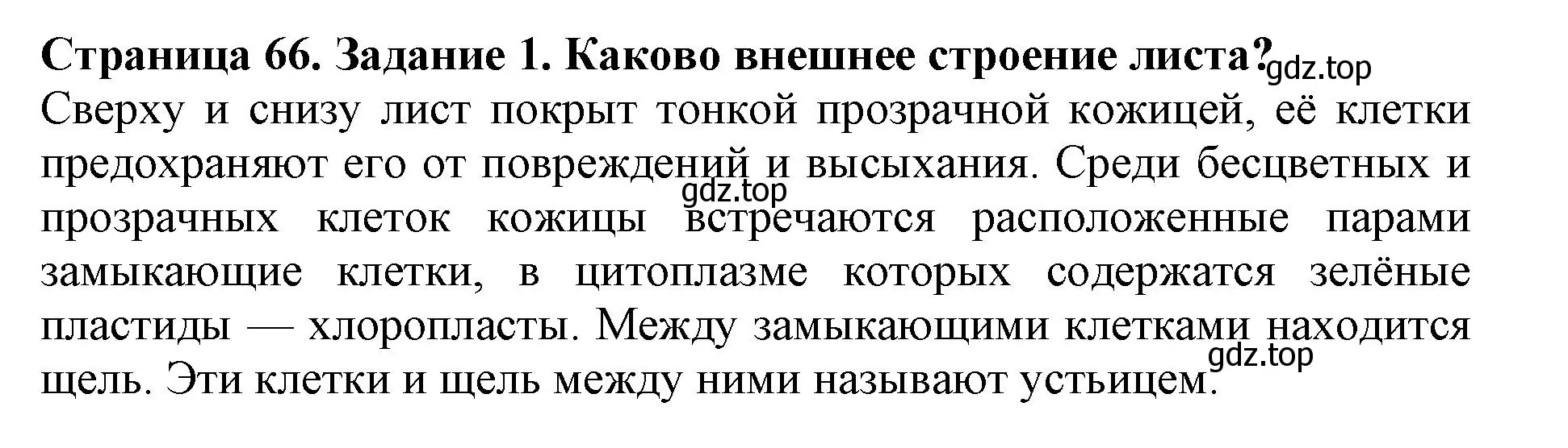 Решение номер 1 (страница 66) гдз по биологии 6 класс Пасечник, Суматохин, учебник