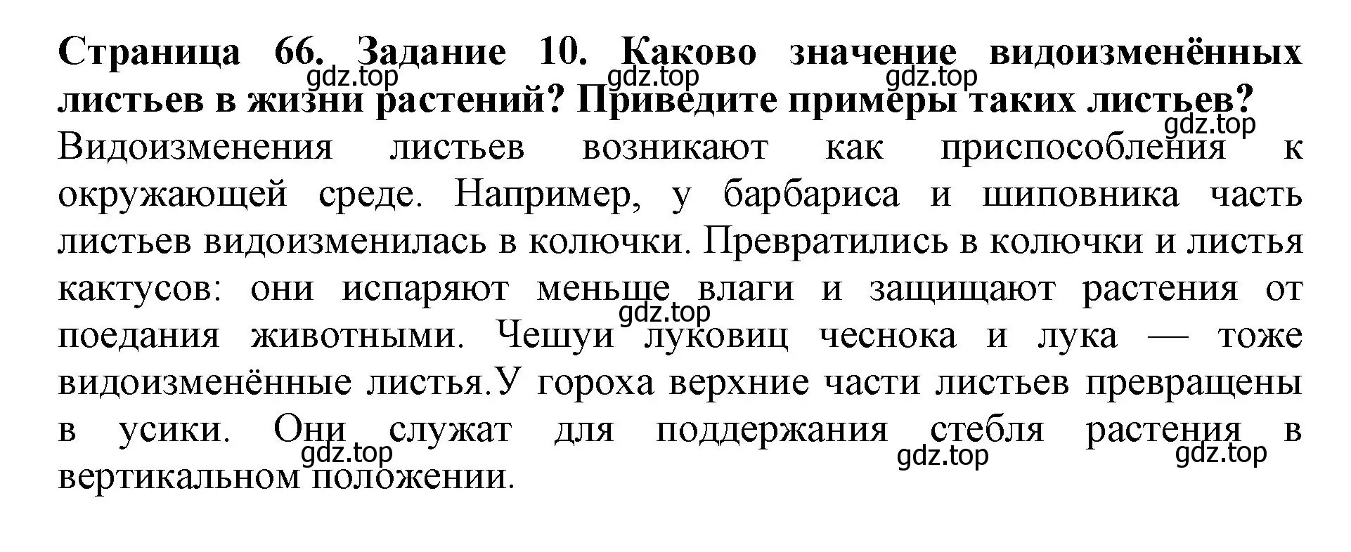 Решение номер 10 (страница 66) гдз по биологии 6 класс Пасечник, Суматохин, учебник