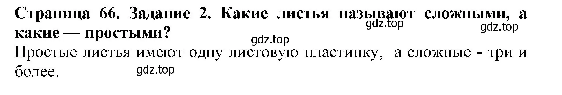 Решение номер 2 (страница 66) гдз по биологии 6 класс Пасечник, Суматохин, учебник