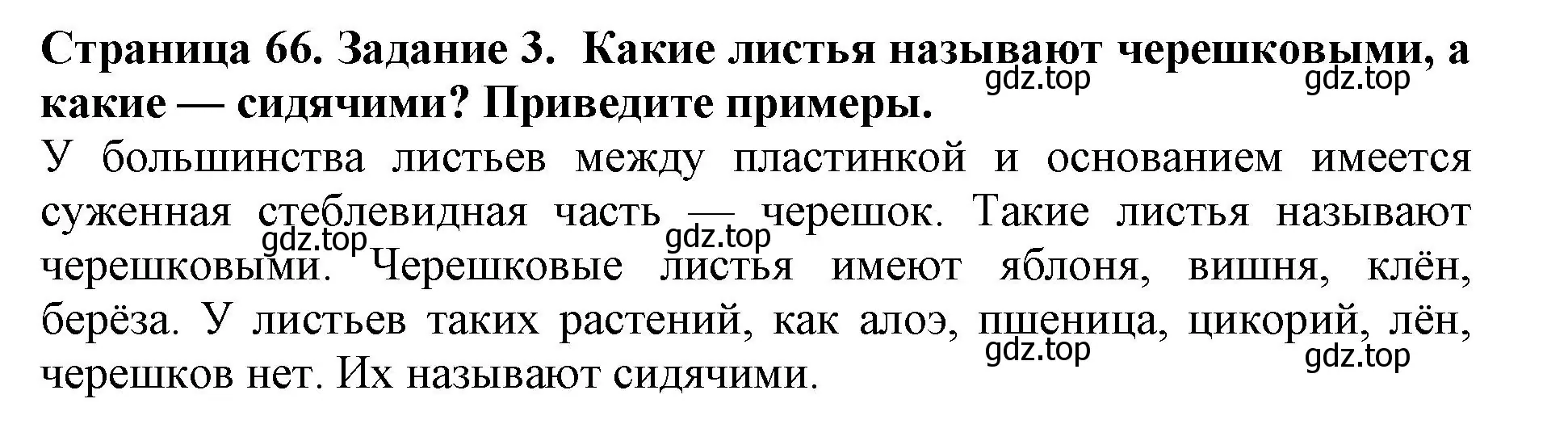 Решение номер 3 (страница 66) гдз по биологии 6 класс Пасечник, Суматохин, учебник