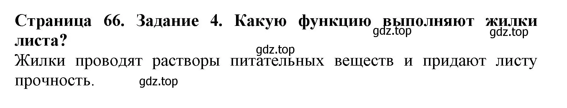 Решение номер 4 (страница 66) гдз по биологии 6 класс Пасечник, Суматохин, учебник