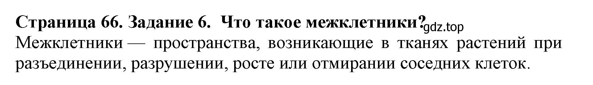 Решение номер 6 (страница 66) гдз по биологии 6 класс Пасечник, Суматохин, учебник