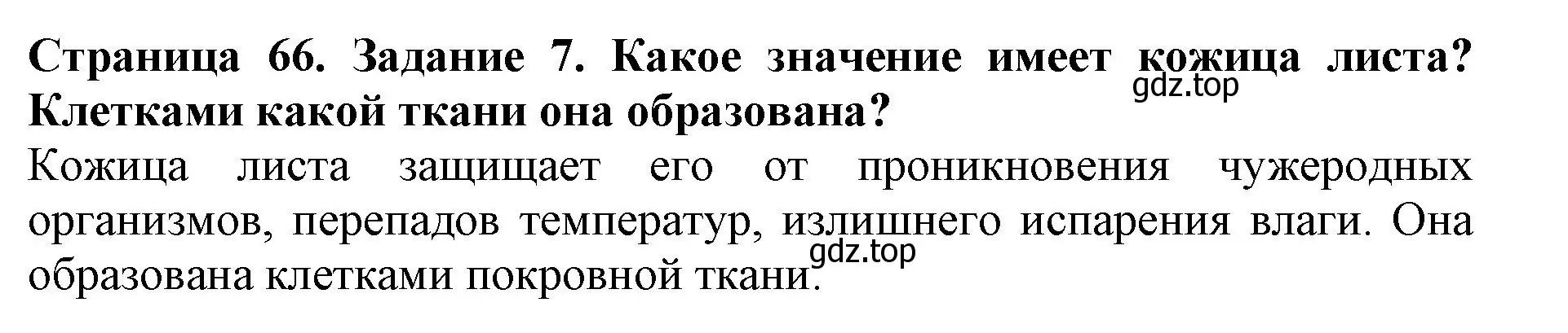 Решение номер 7 (страница 66) гдз по биологии 6 класс Пасечник, Суматохин, учебник