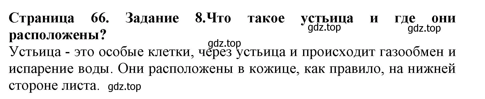 Решение номер 8 (страница 66) гдз по биологии 6 класс Пасечник, Суматохин, учебник