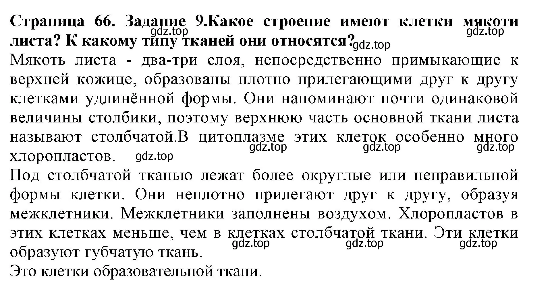 Решение номер 9 (страница 66) гдз по биологии 6 класс Пасечник, Суматохин, учебник