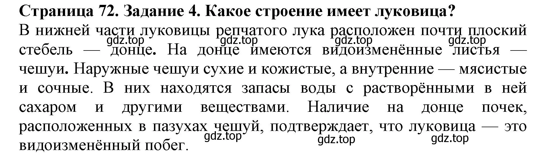 Решение номер 4 (страница 72) гдз по биологии 6 класс Пасечник, Суматохин, учебник