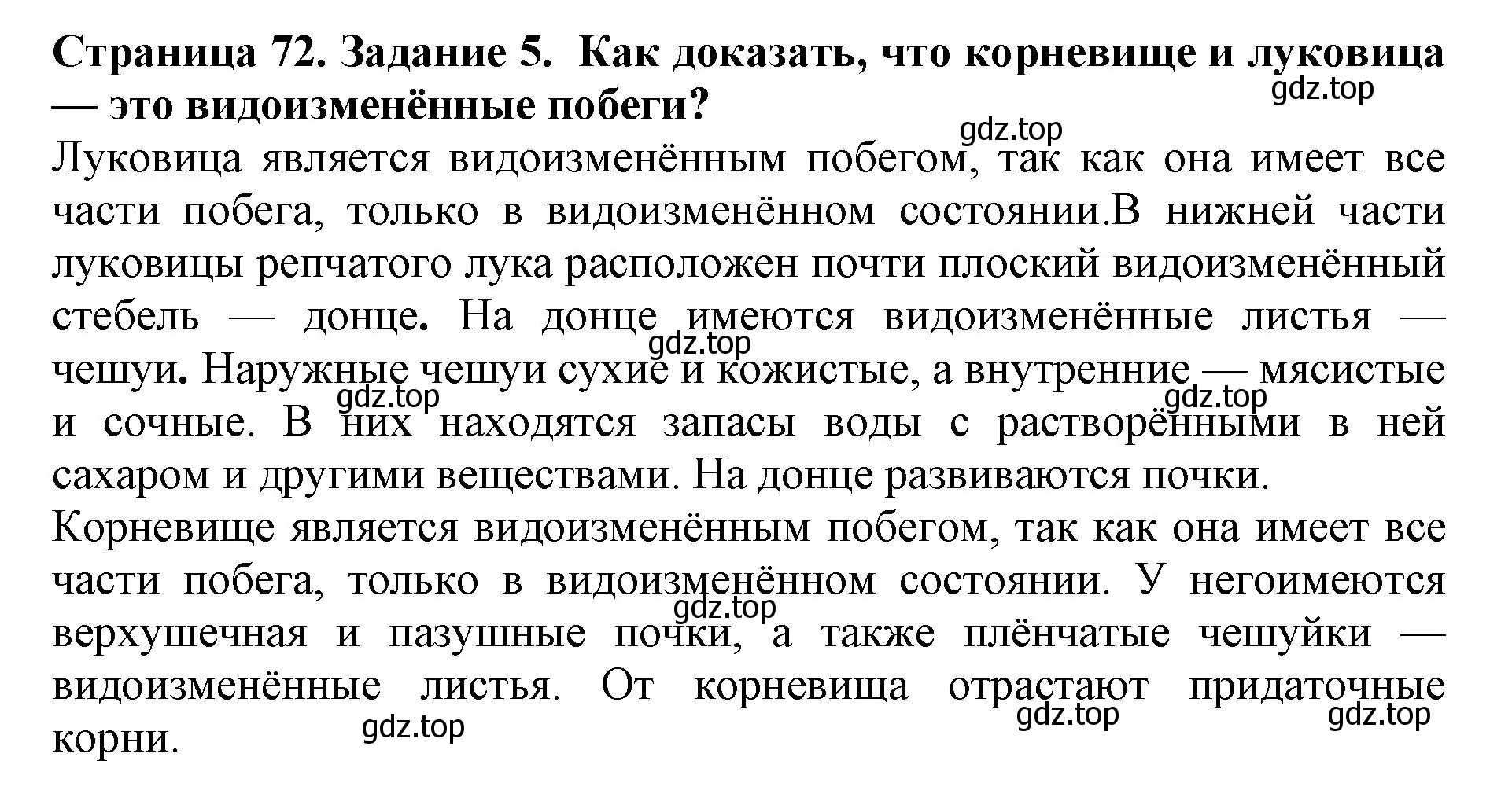 Решение номер 5 (страница 72) гдз по биологии 6 класс Пасечник, Суматохин, учебник