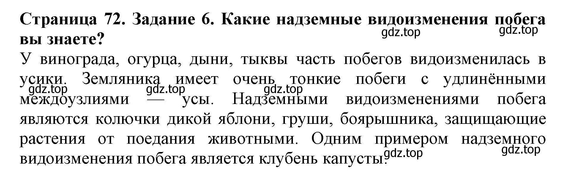 Решение номер 6 (страница 72) гдз по биологии 6 класс Пасечник, Суматохин, учебник