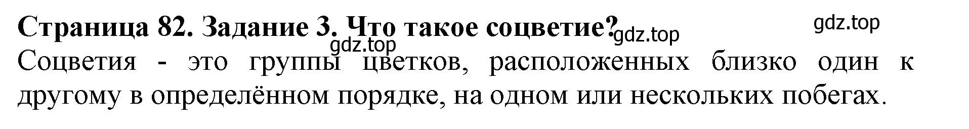 Решение номер 3 (страница 82) гдз по биологии 6 класс Пасечник, Суматохин, учебник