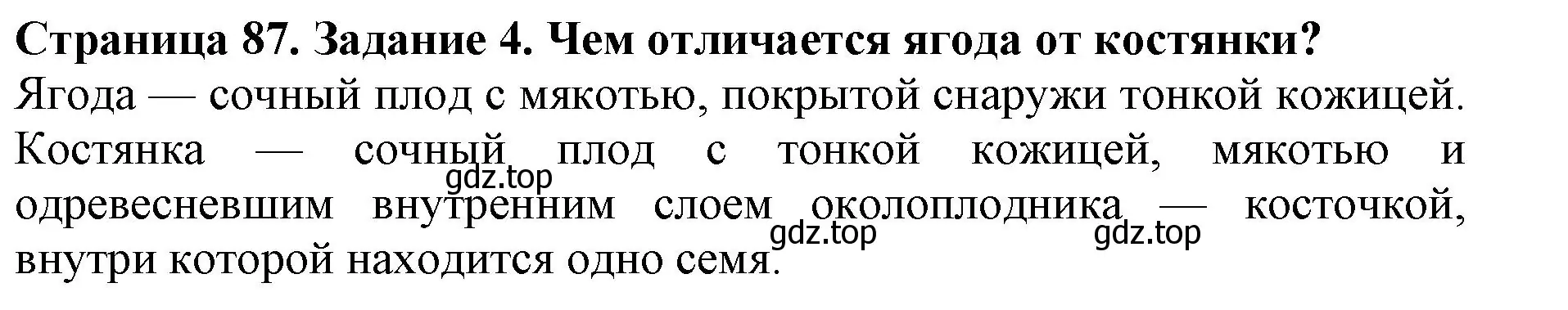 Решение номер 4 (страница 87) гдз по биологии 6 класс Пасечник, Суматохин, учебник