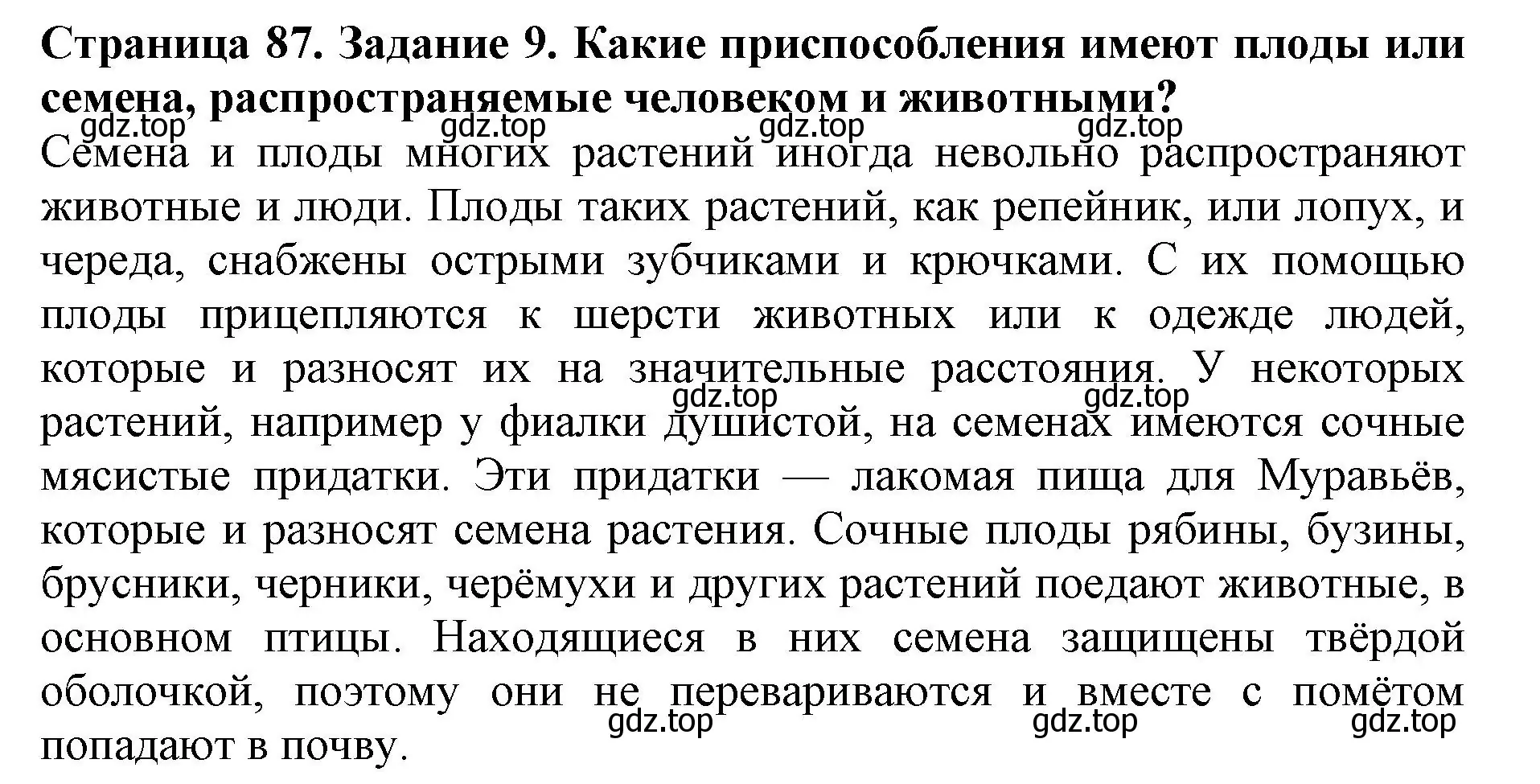 Решение номер 9 (страница 87) гдз по биологии 6 класс Пасечник, Суматохин, учебник