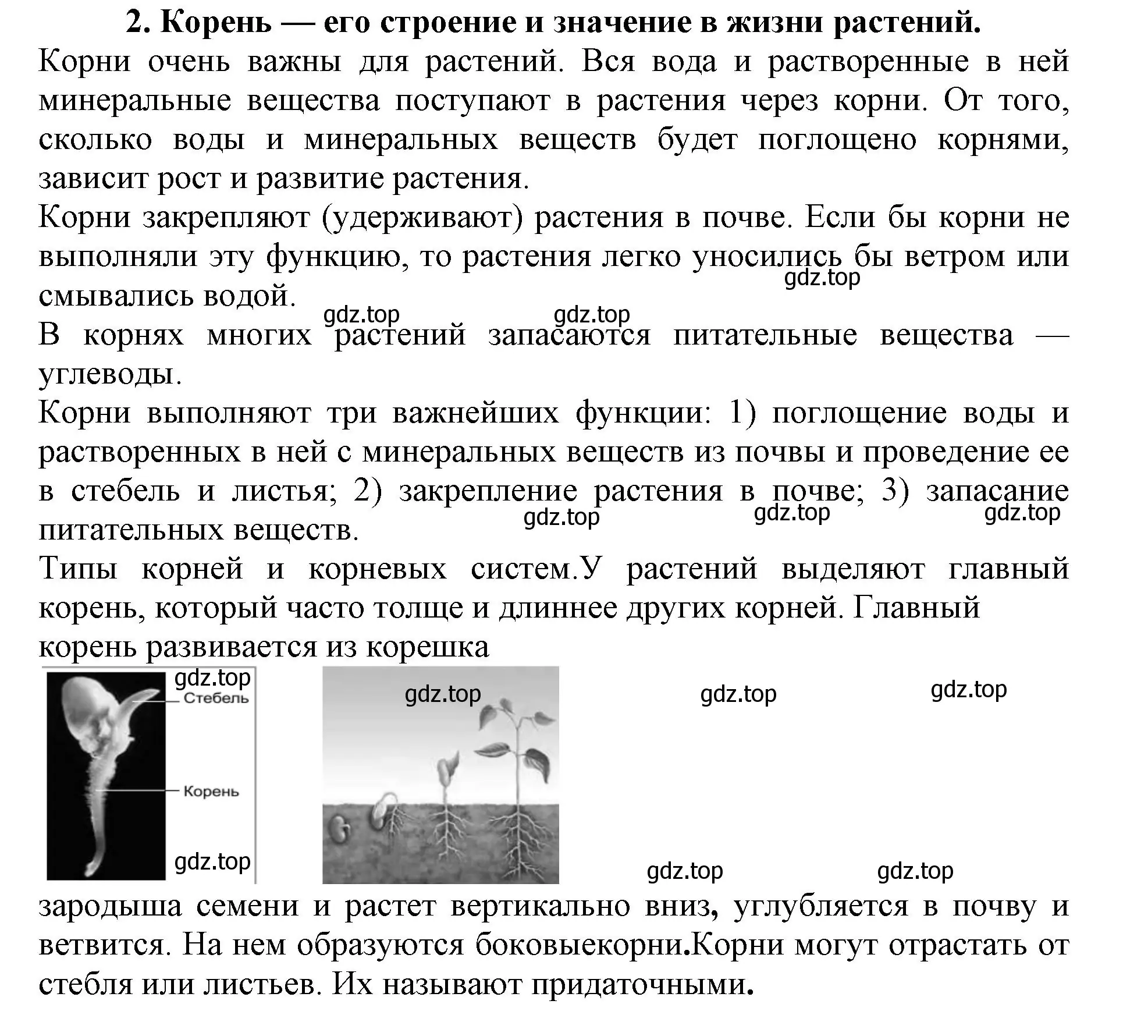 Решение номер 2 (страница 90) гдз по биологии 6 класс Пасечник, Суматохин, учебник