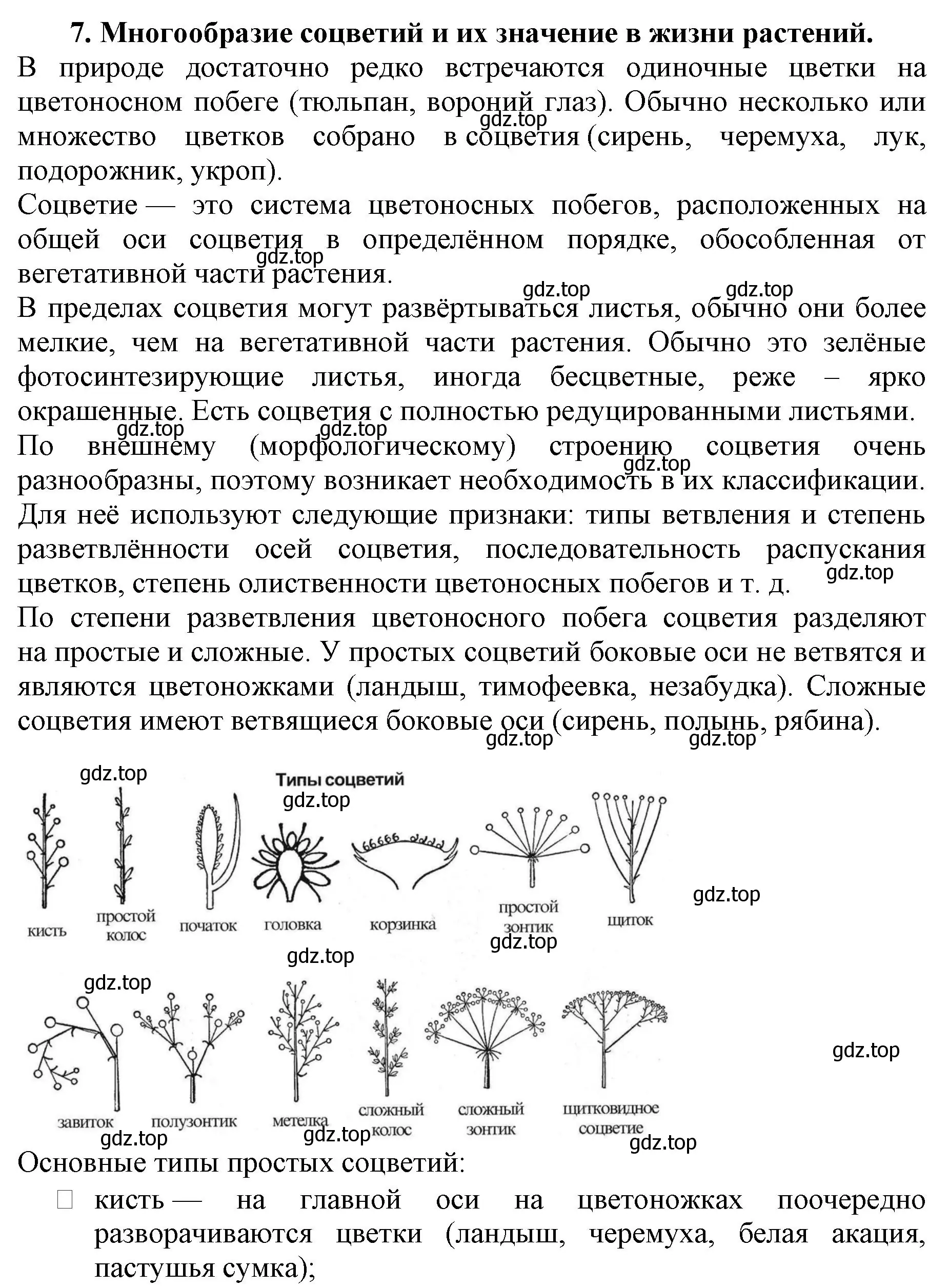 Решение номер 7 (страница 90) гдз по биологии 6 класс Пасечник, Суматохин, учебник