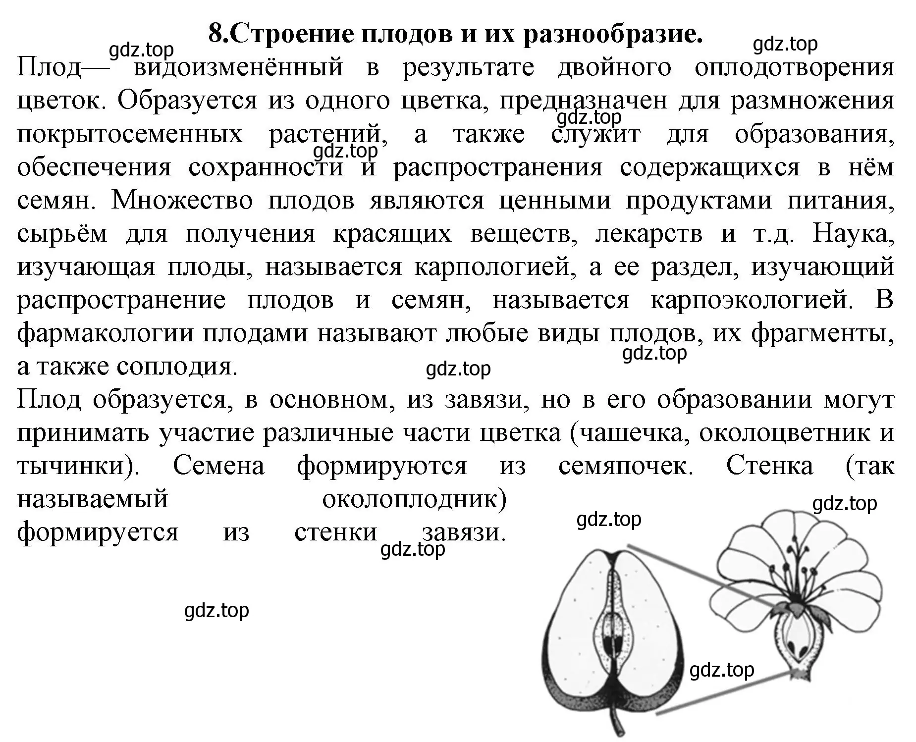 Решение номер 8 (страница 90) гдз по биологии 6 класс Пасечник, Суматохин, учебник