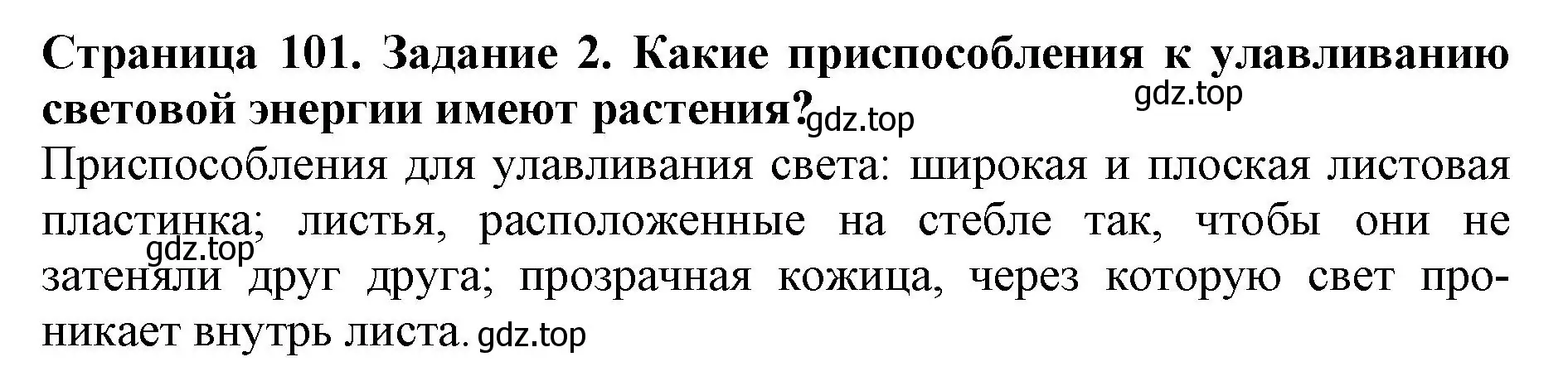 Решение номер 2 (страница 101) гдз по биологии 6 класс Пасечник, Суматохин, учебник