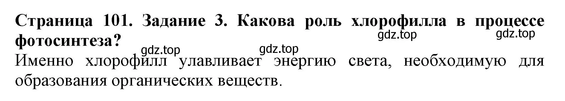 Решение номер 3 (страница 101) гдз по биологии 6 класс Пасечник, Суматохин, учебник