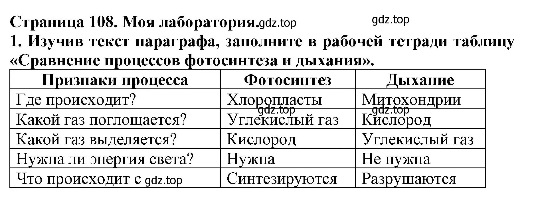 Решение  Моя лаборатория (страница 108) гдз по биологии 6 класс Пасечник, Суматохин, учебник