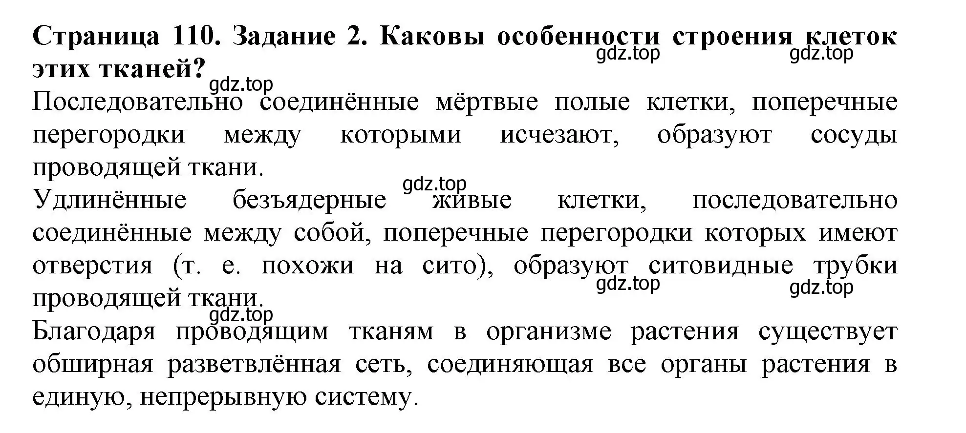 Решение номер 2 (страница 110) гдз по биологии 6 класс Пасечник, Суматохин, учебник