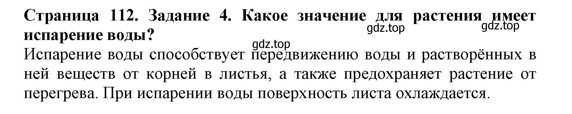 Решение номер 4 (страница 112) гдз по биологии 6 класс Пасечник, Суматохин, учебник