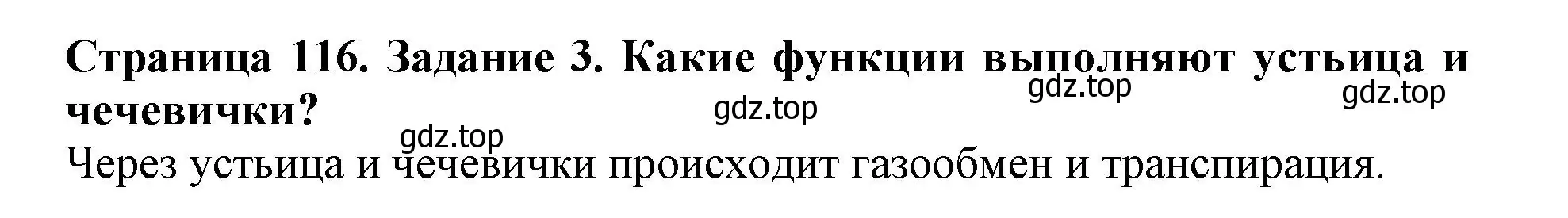 Решение номер 3 (страница 116) гдз по биологии 6 класс Пасечник, Суматохин, учебник