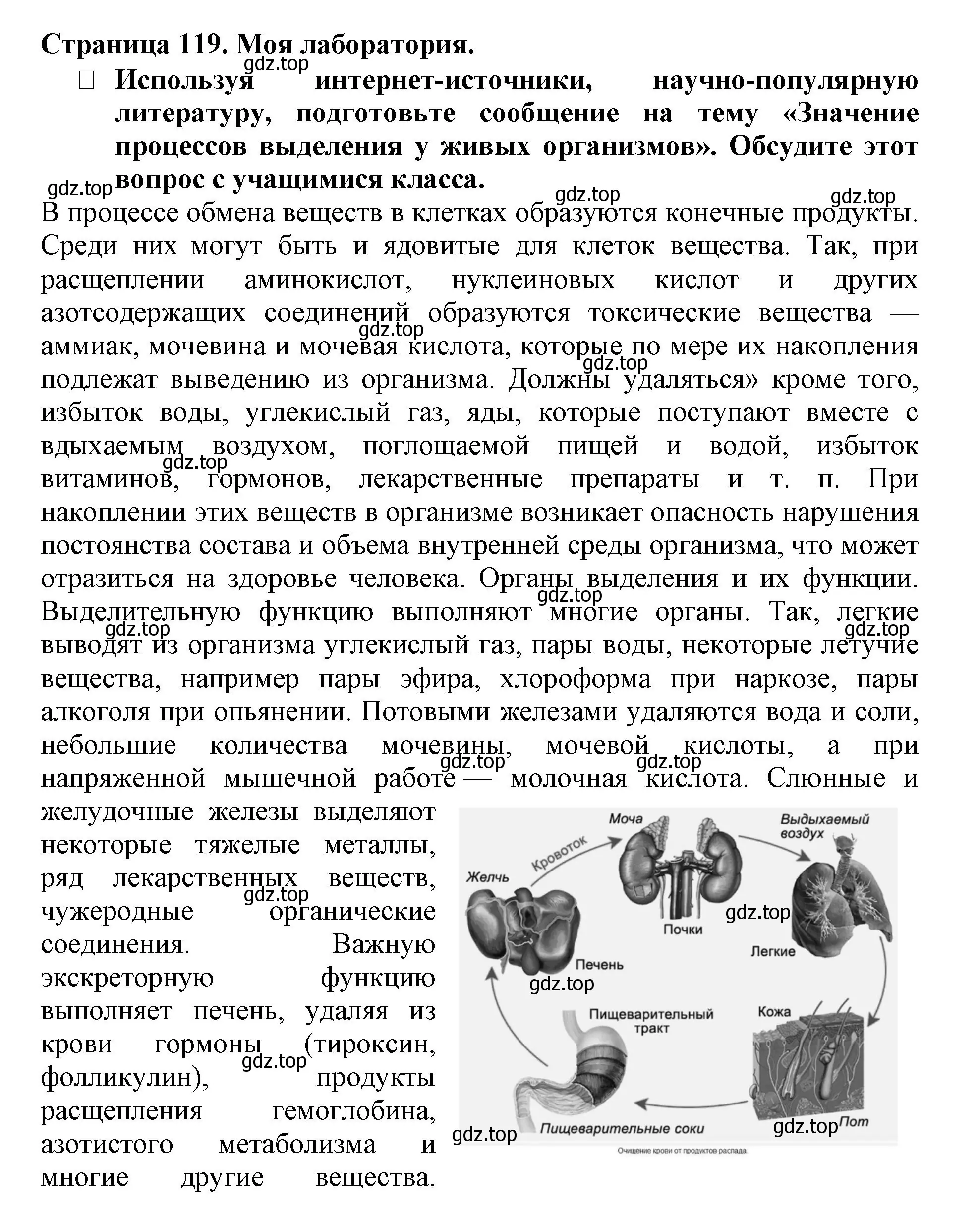 Решение  Моя лаборатория (страница 119) гдз по биологии 6 класс Пасечник, Суматохин, учебник