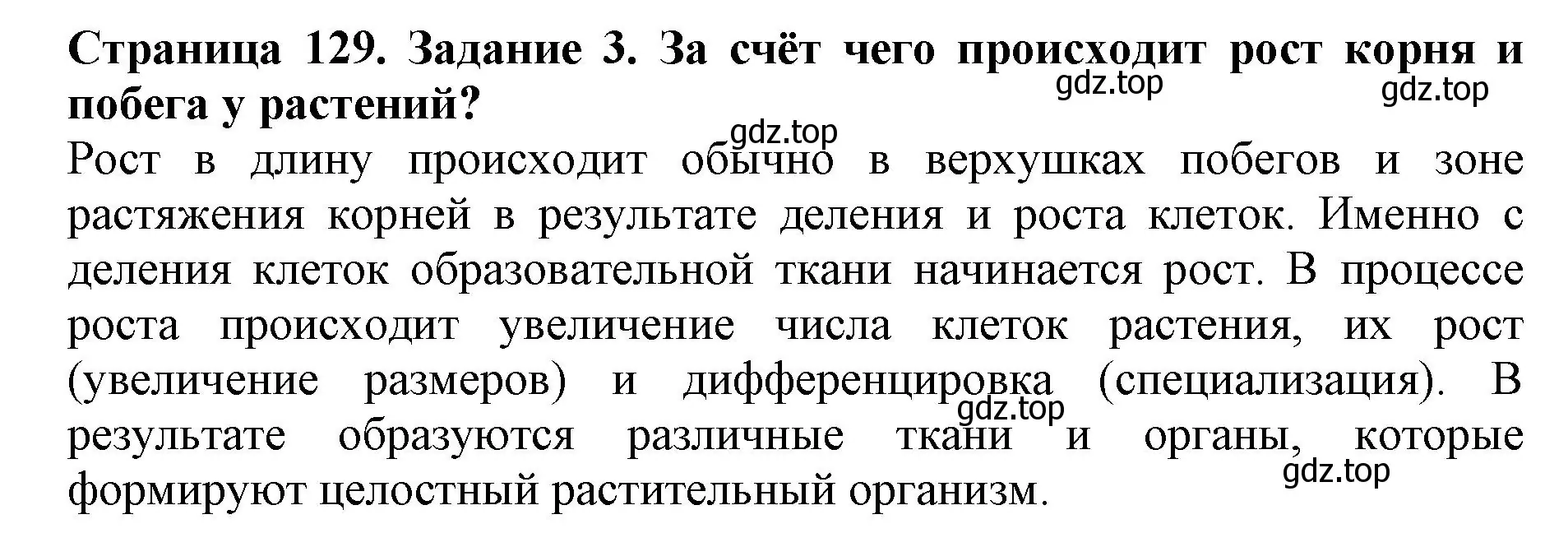 Решение номер 3 (страница 129) гдз по биологии 6 класс Пасечник, Суматохин, учебник