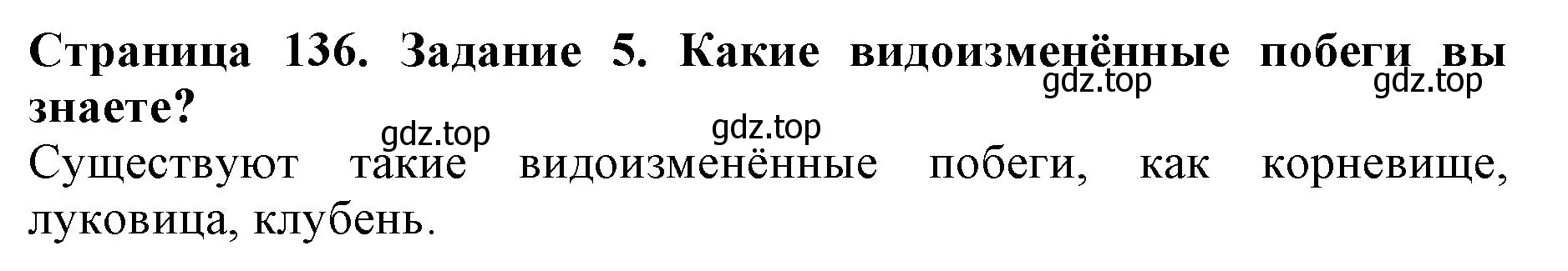 Решение номер 5 (страница 136) гдз по биологии 6 класс Пасечник, Суматохин, учебник