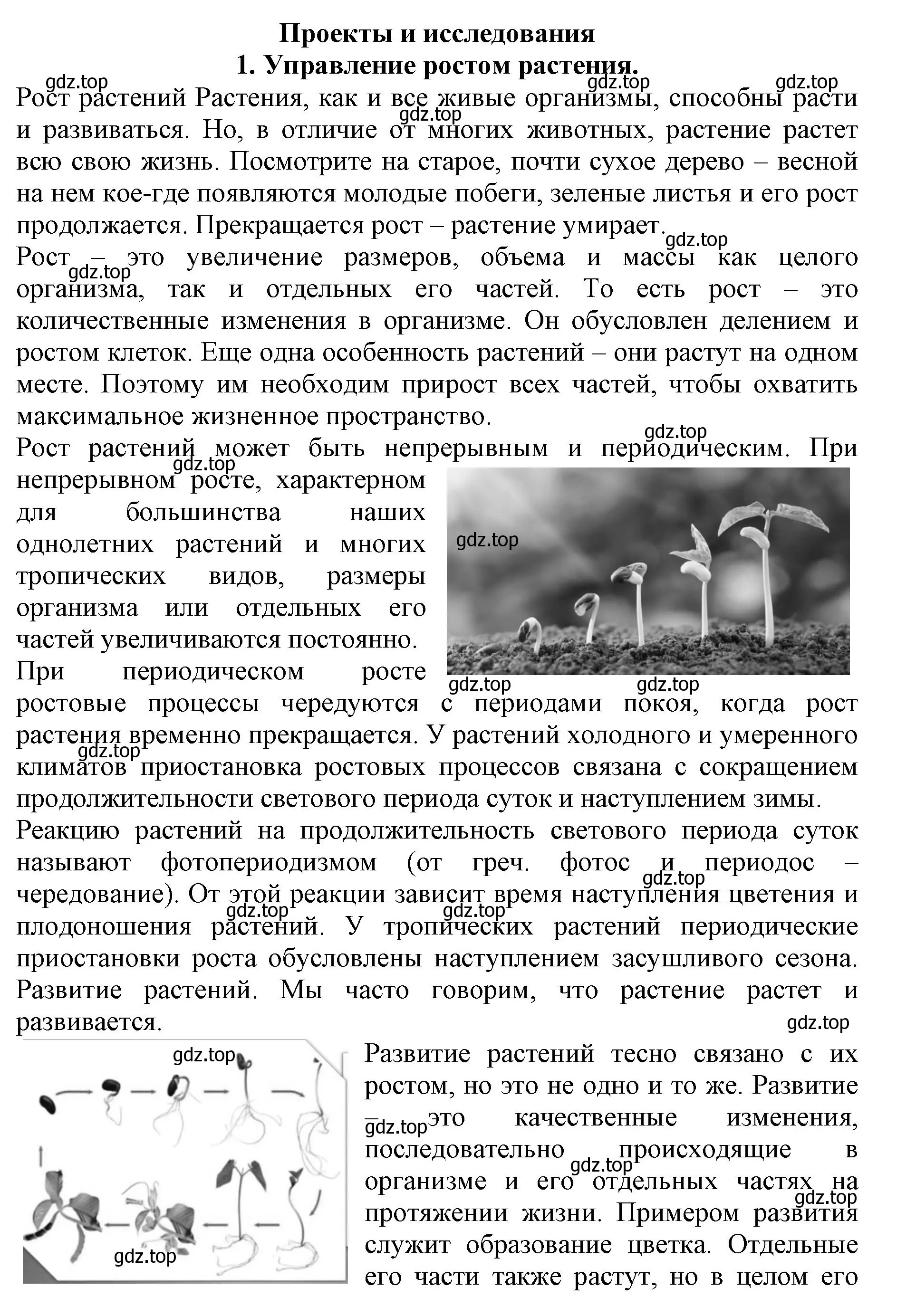 Решение номер 1 (страница 144) гдз по биологии 6 класс Пасечник, Суматохин, учебник