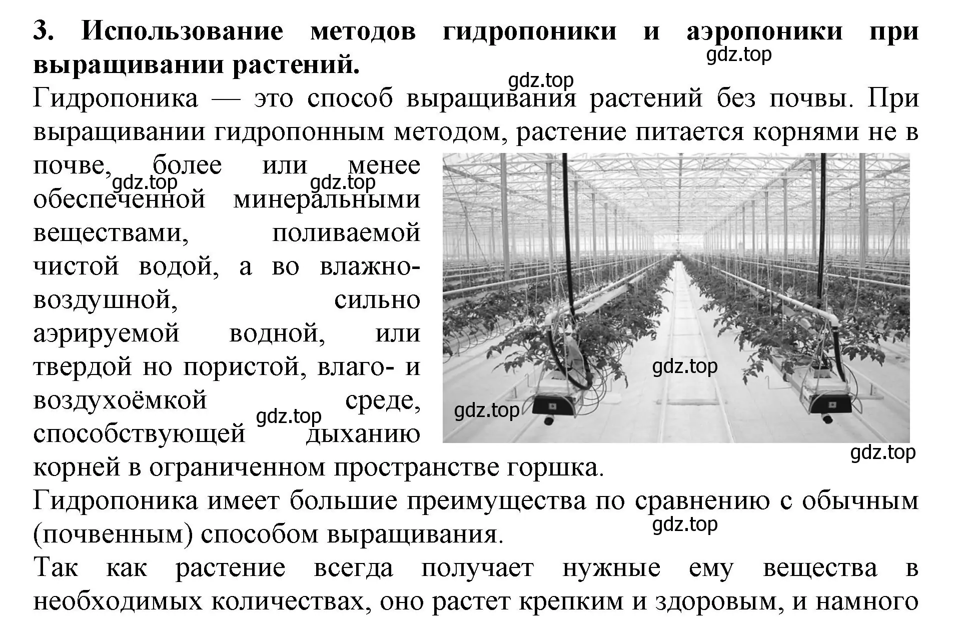 Решение номер 3 (страница 144) гдз по биологии 6 класс Пасечник, Суматохин, учебник