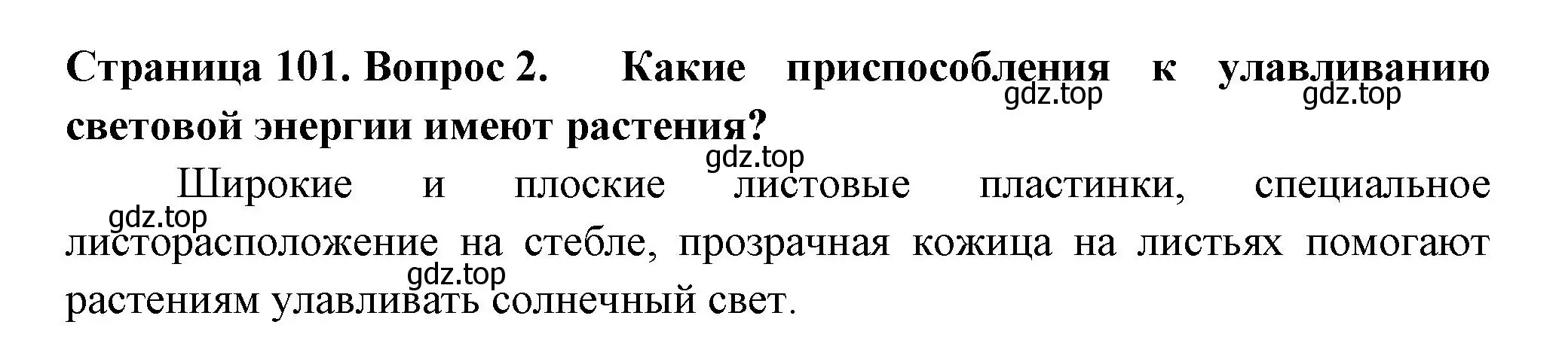 Решение 2. номер 2 (страница 101) гдз по биологии 6 класс Пасечник, Суматохин, учебник