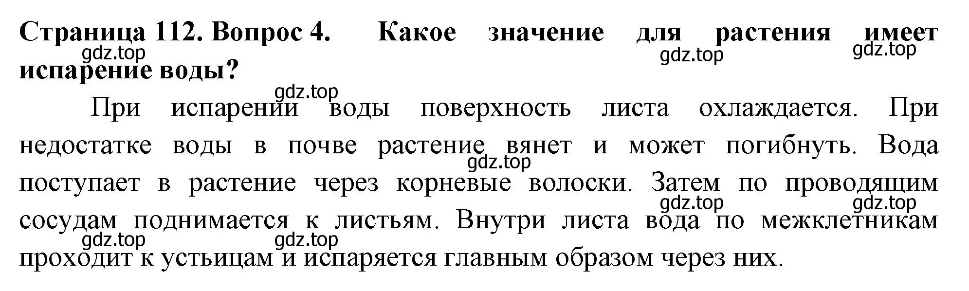 Решение 2. номер 4 (страница 112) гдз по биологии 6 класс Пасечник, Суматохин, учебник