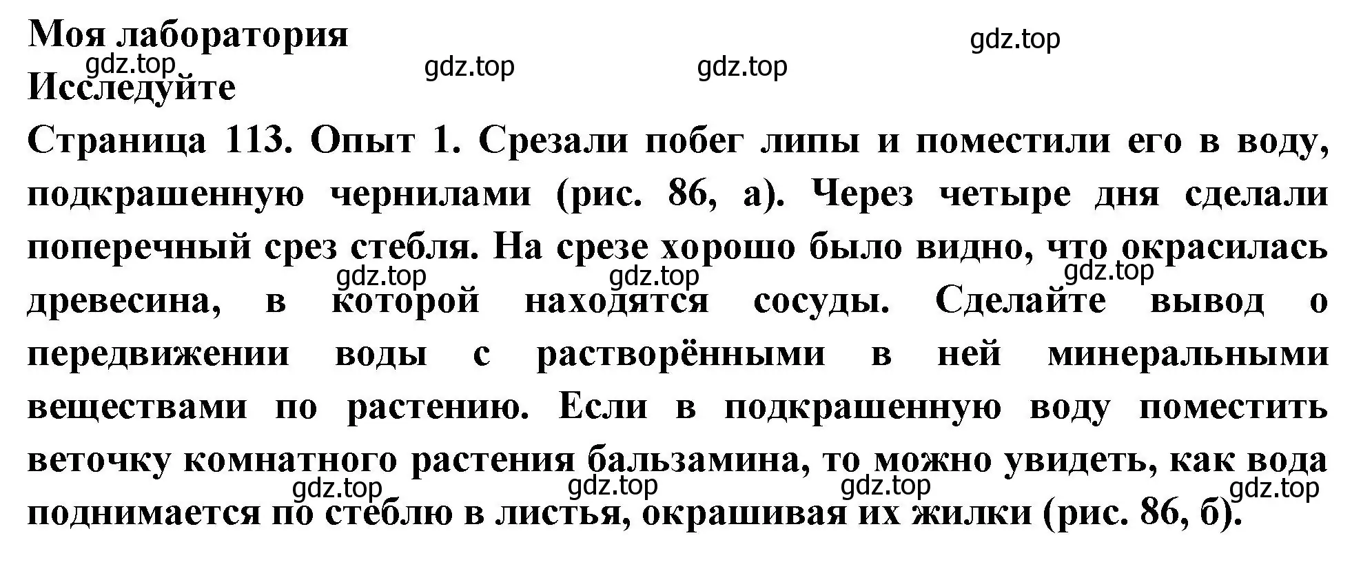 Решение 2.  Моя лаборатория (страница 113) гдз по биологии 6 класс Пасечник, Суматохин, учебник