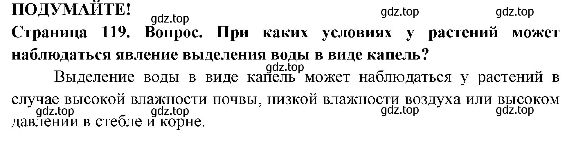 Решение 2.  Подумайте! (страница 119) гдз по биологии 6 класс Пасечник, Суматохин, учебник