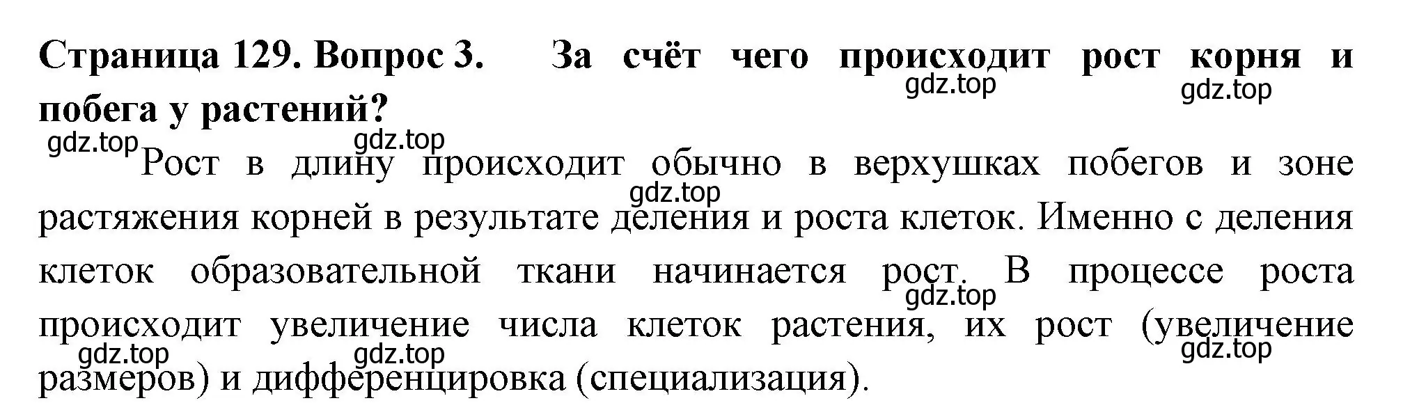 Решение 2. номер 3 (страница 129) гдз по биологии 6 класс Пасечник, Суматохин, учебник