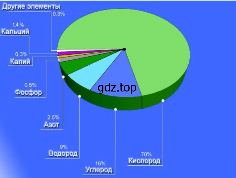 Строение и жизнедеятельность клетки.