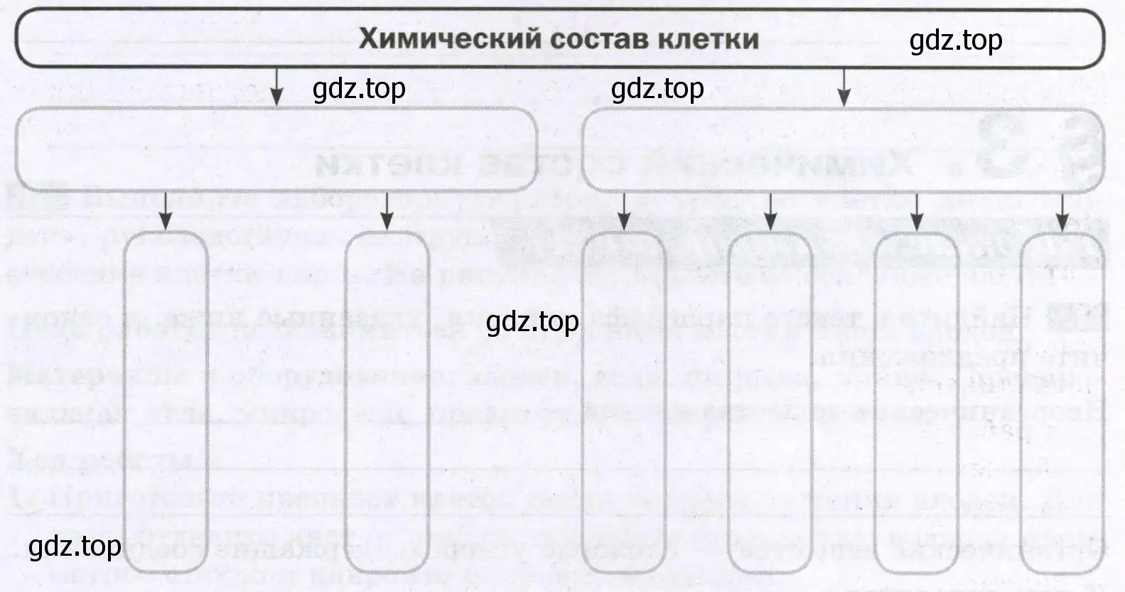 Химический состав клетки