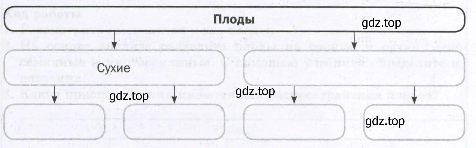 заполните схему «Классификация плодов».