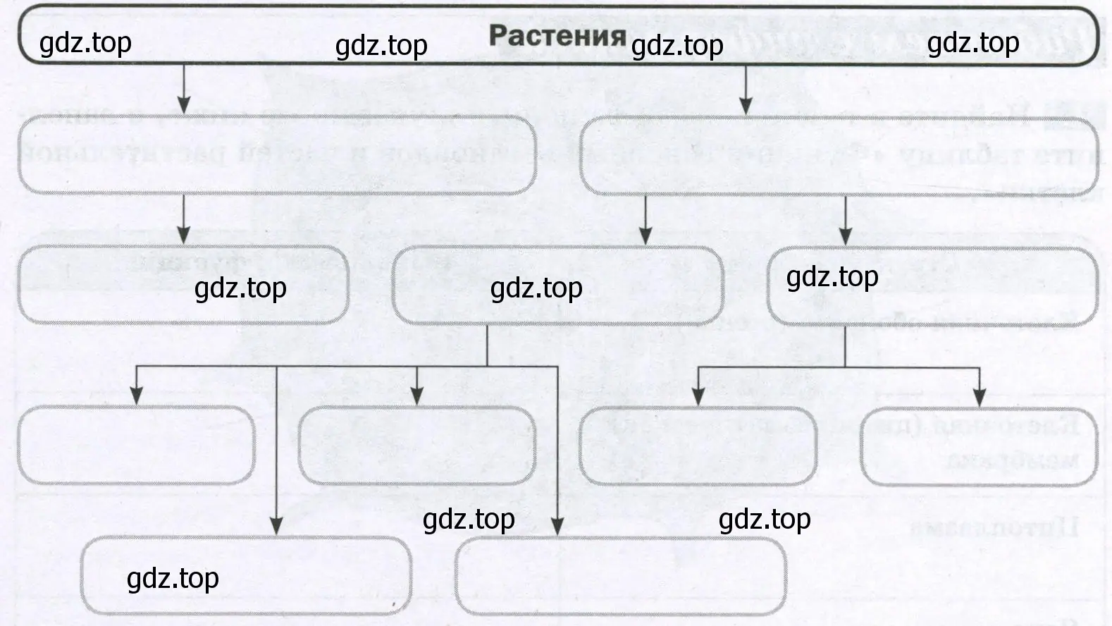 Растения низшие и высшие