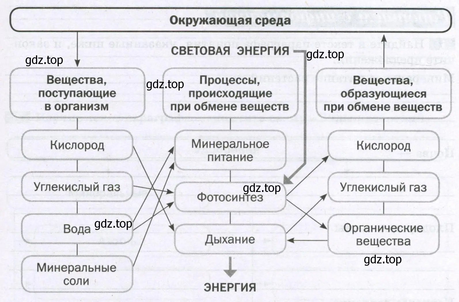 Обмен веществ и превращение энергии в растительном организме