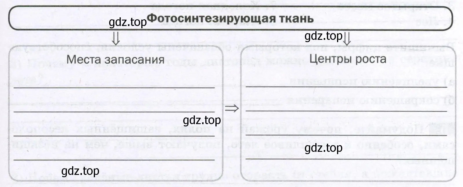 Передвижение органических веществ в растении