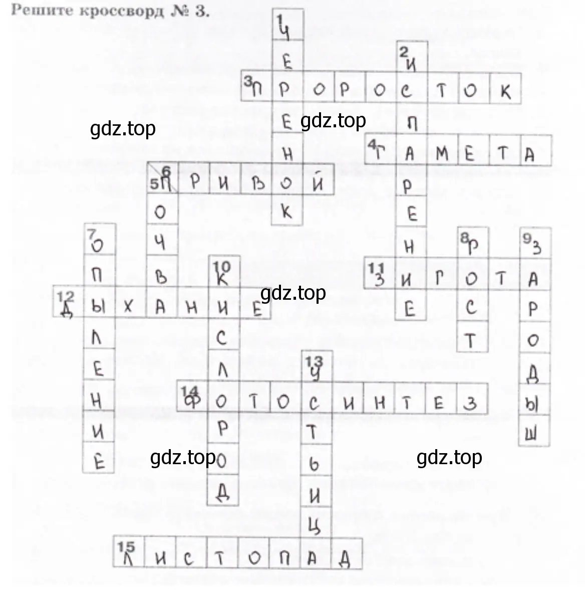 Страница 103. Задание 7. Решите кроссворд