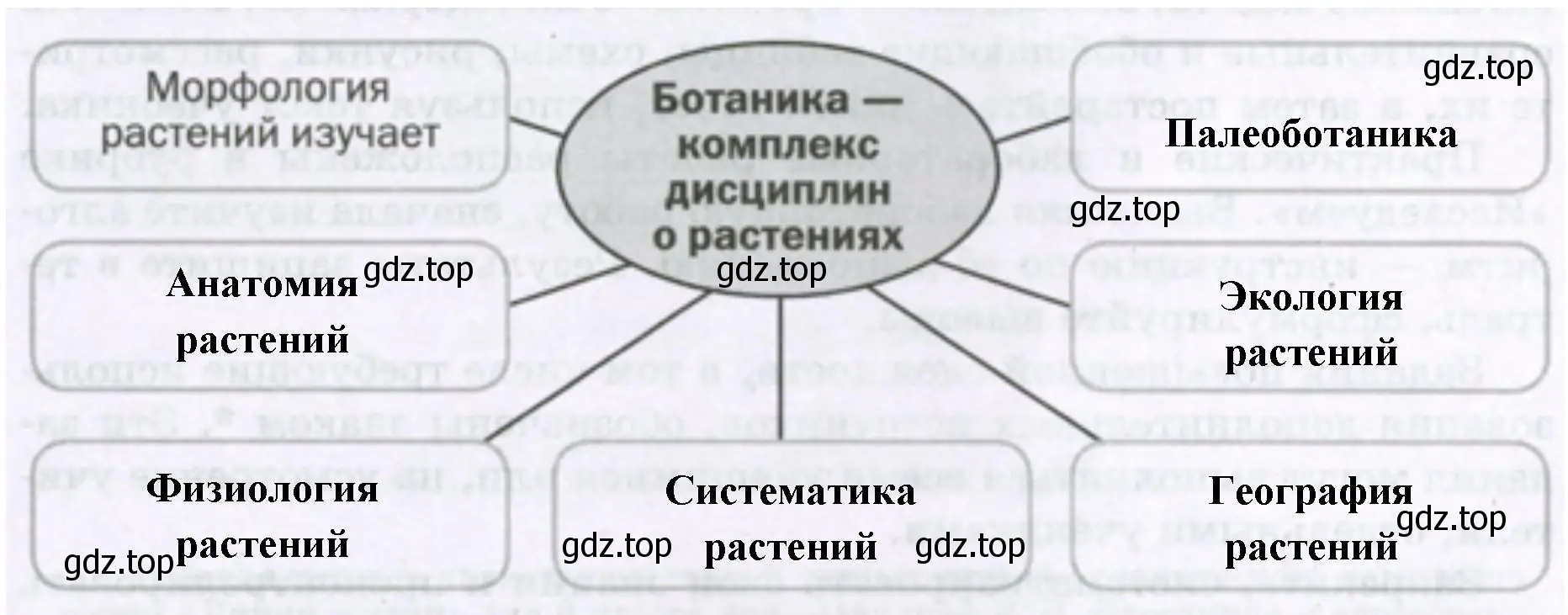 Ботаника – комплекс дисциплин о растениях