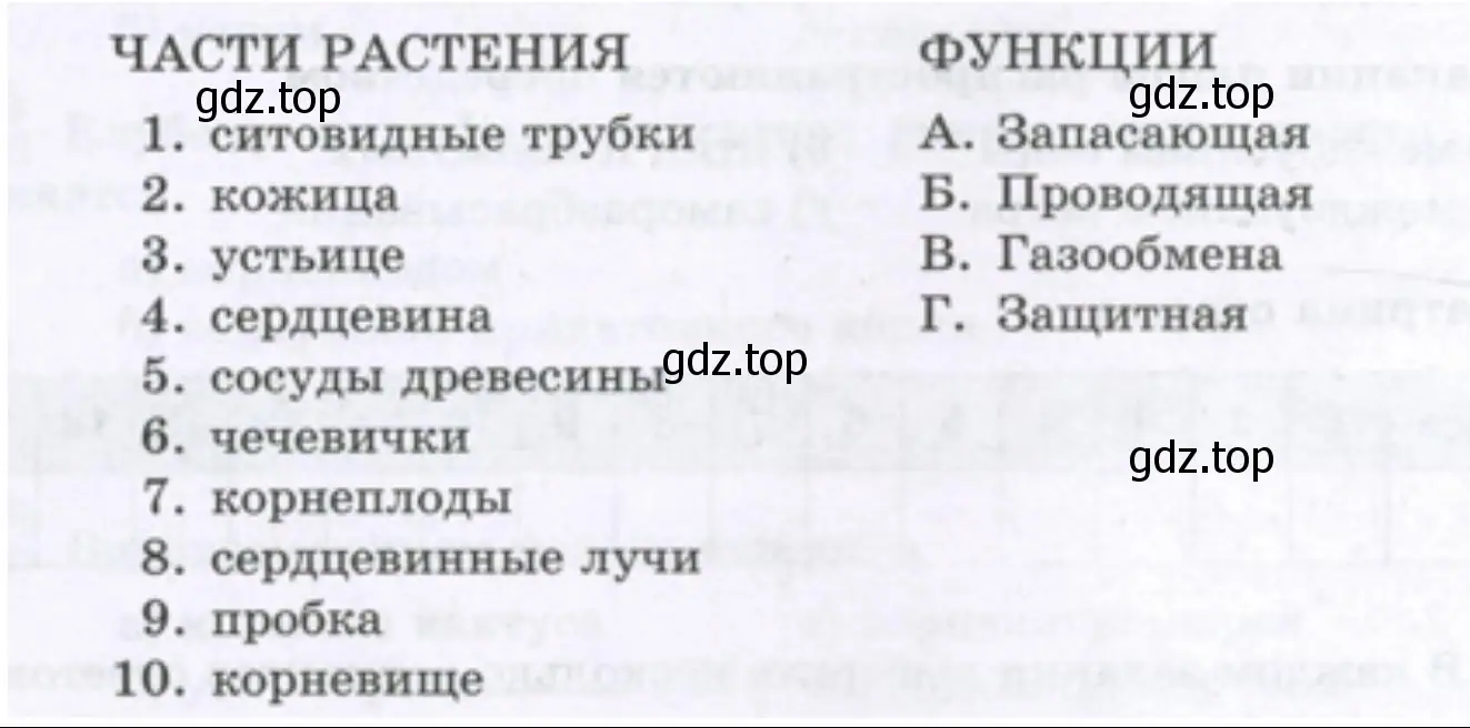 Установите соответствие между частями растения и функциями, которые они выполняют