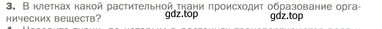 Условие номер 3 (страница 47) гдз по биологии 6 класс Пономарева, Корнилова, учебник